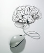 souris connectée à un cerveau