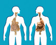 Medical graphic