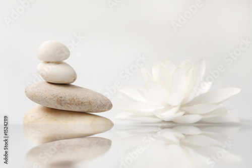 Photo: wellness still life: pebbles and white lily, reflection wellness still life: pebbles and white lily, reflection