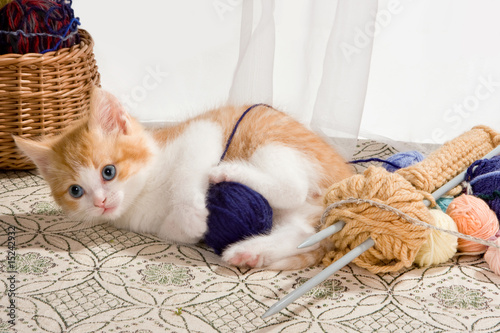Photo: Playing with wool Playing with wool