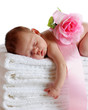 Sleeping Beauty Sleeping Beauty