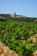 Châteauneuf du pape Châteauneuf du pape