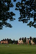 Playing Field