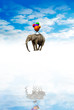 Elephant in the sky Elephant in the sky