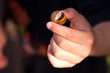 Snail-shell in child's hand Snail-shell in child's hand