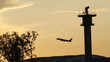 Flugzeug vor Abendhimmel