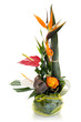 Bouquet exotique sur fond blanc Bouquet exotique sur fond blanc