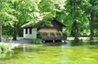 Hütte am See