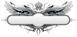 Gothic Vector Winged  Insignia