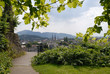 Freiburg vom Berg