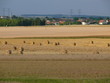 Paysage Lorrain