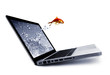Goldfish jump out of the monitor