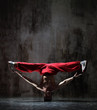 the dancer