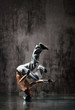 the dancer