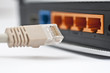 Computer LAN Cables with Router