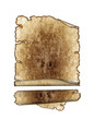 Old rough antique parchment paper scrolls, texture background is