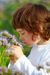 Photo: Kleiner Junge riecht an einer Blume Kleiner Junge riecht an einer Blume