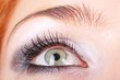 eye with makeup close up..