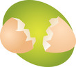 Egg illustration