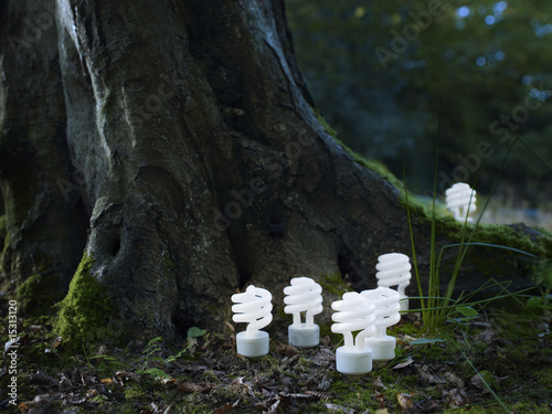 Photo: Energy saving spiral lightbulbs planted in woodland Energy saving spiral lightbulbs planted in woodland