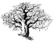 Black tree
