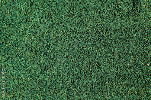 Photo: Green grass close-up Green grass close-up