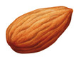 Mandelkern