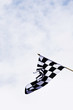 chequered flag