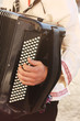Playing button accordion. Keyboard and musician's hand
