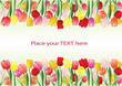 Colorful vector floral background with the space for your text