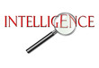intelligence