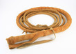 Bullwhip Bullwhip