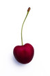Kirsche