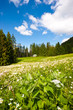 Berghütte im Allgäu