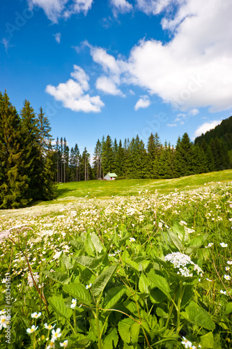 Photo: Berghütte im Allgäu Berghütte im Allgäu