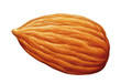 Mandelkern