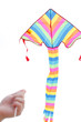 Kite