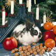 Weihnacht_111948