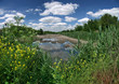 Old Pond