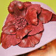 chapeau d'hiver