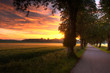 Sunrise in an alley