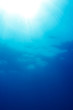 海中に差し込む光り