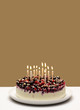 Birthday Cheesecake with lit candles Birthday Cheesecake with lit candles