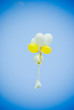 Balloons Against Blue Sky Balloons Against Blue Sky