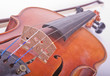 Foto: Violine Violine