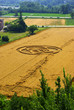 Foto: Cerchi nel grano Cerchi nel grano