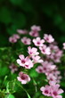 Photo: Violette Violette