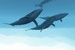 UNDERWATER WORLD
