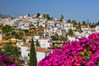 Spanish landscape, Nerja, Spain