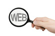 Lupe mit Hand Internetsuche